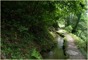 Kuenser Waalweg in Südtirol